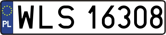 WLS16308