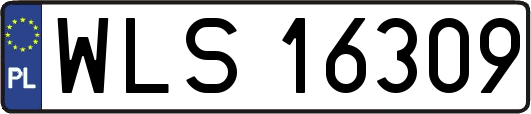 WLS16309