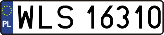 WLS16310