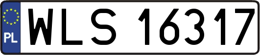 WLS16317