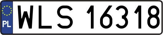 WLS16318