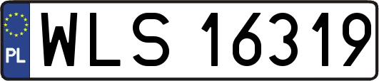 WLS16319