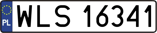 WLS16341