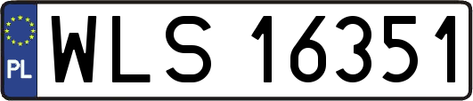 WLS16351