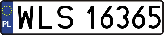 WLS16365
