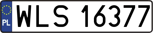 WLS16377