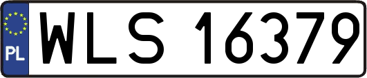 WLS16379