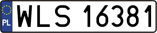 WLS16381