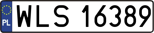 WLS16389