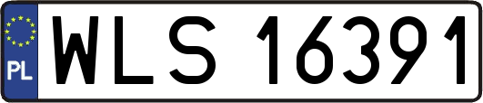 WLS16391