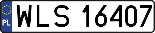 WLS16407