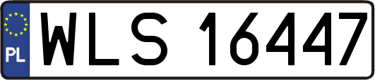 WLS16447