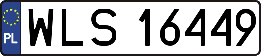 WLS16449