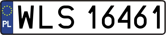 WLS16461