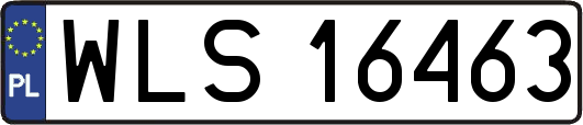 WLS16463
