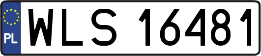 WLS16481