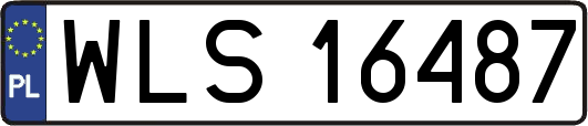 WLS16487