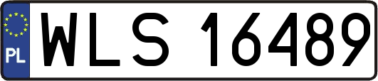 WLS16489