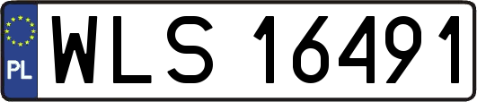 WLS16491