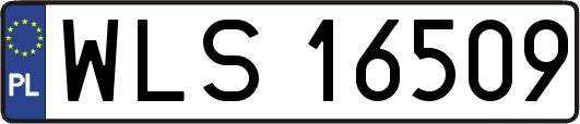 WLS16509