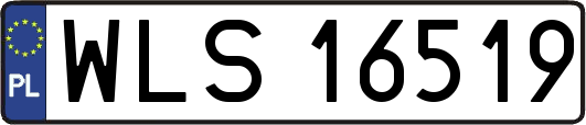 WLS16519