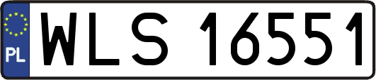 WLS16551