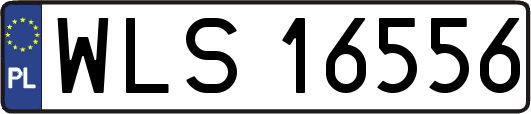 WLS16556