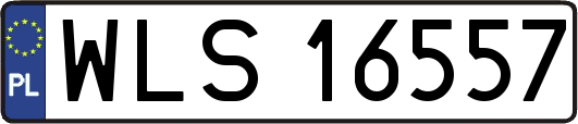 WLS16557