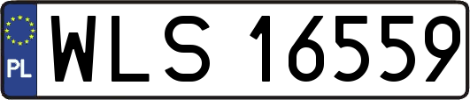 WLS16559