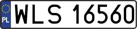 WLS16560