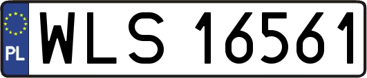 WLS16561