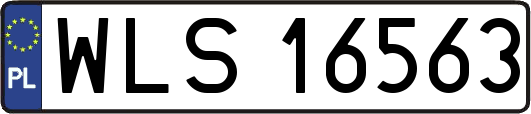 WLS16563