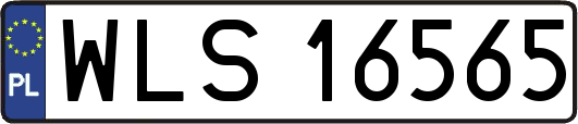 WLS16565