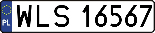 WLS16567