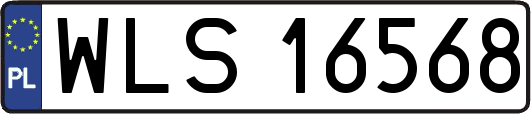 WLS16568