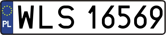 WLS16569