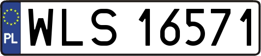 WLS16571