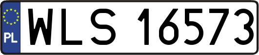 WLS16573