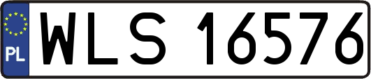 WLS16576