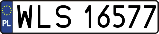 WLS16577
