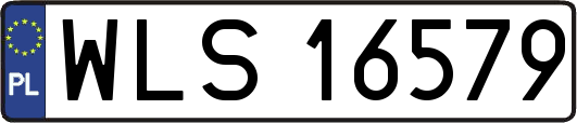 WLS16579