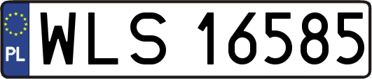 WLS16585