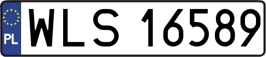 WLS16589