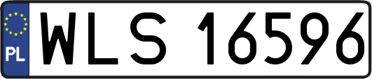WLS16596