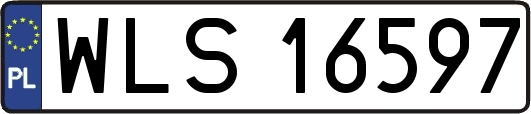 WLS16597