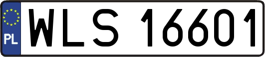 WLS16601