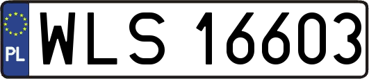 WLS16603