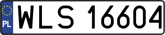 WLS16604