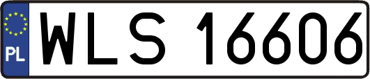 WLS16606