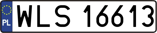 WLS16613